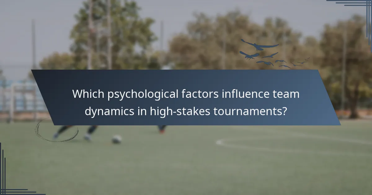 Which psychological factors influence team dynamics in high-stakes tournaments?